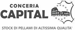 cropped-cropped-STOCK-PELLAMI-1.jpg
